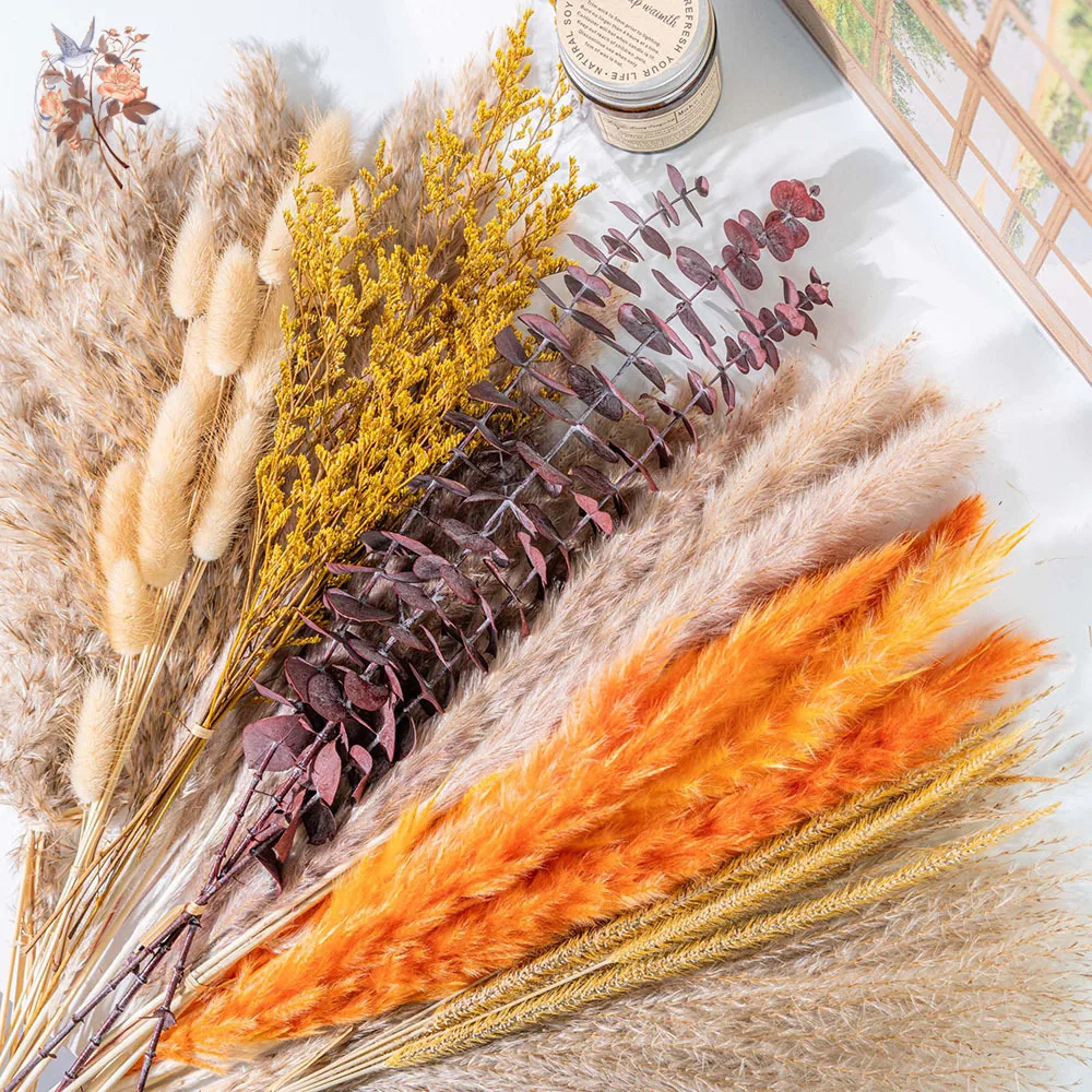 60pcs Orange Pampas Grass Drie - огляд і ціна Eucalyptus Preserved