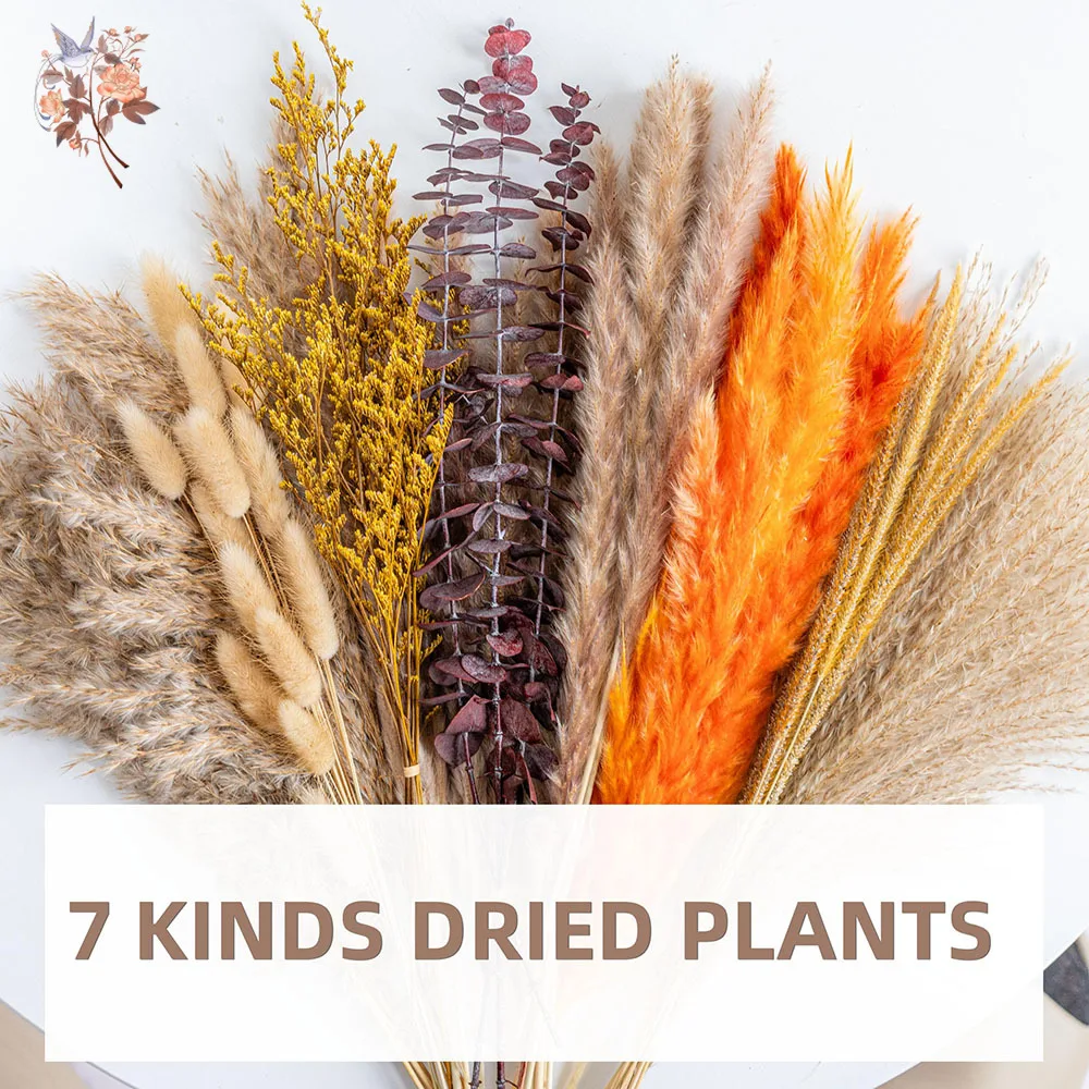 60pcs Orange Pampas Grass Drie - огляд і ціна Eucalyptus Preserved