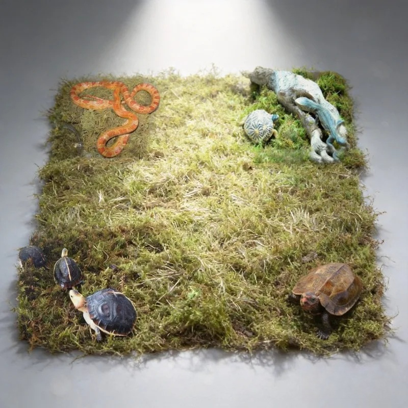 Natural Dried Moss Reptile Ter - огляд і ціна Preserved Moss Sheet