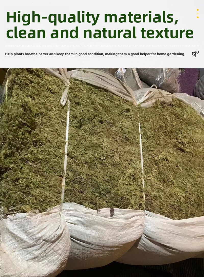 Natural Dried Moss Reptile Ter - огляд і ціна Preserved Moss Sheet
